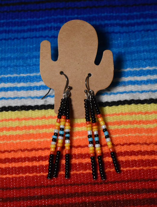 Serape Fringe Earrings